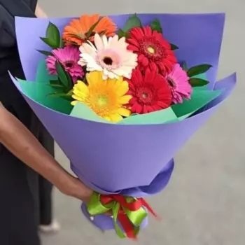 7 Ярких Гербер