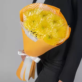 7 Желтых Игольчатых Хризантем