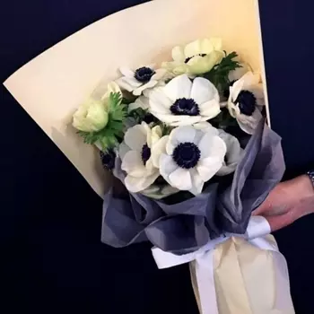 9 Белых Анемонов