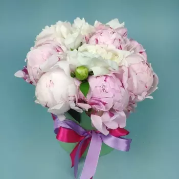 9 Белых и Розовых Пионов в коробке