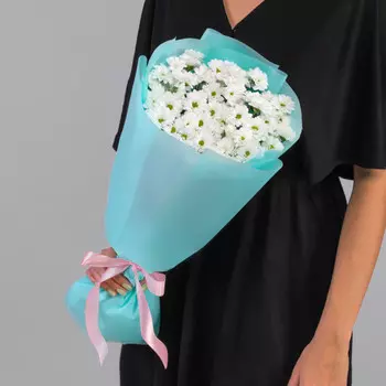 9 Белых Сантини Ромашка