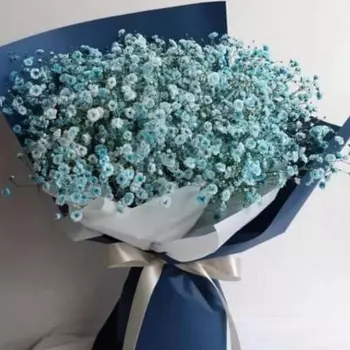 9 Бирюзовых Гипсофил