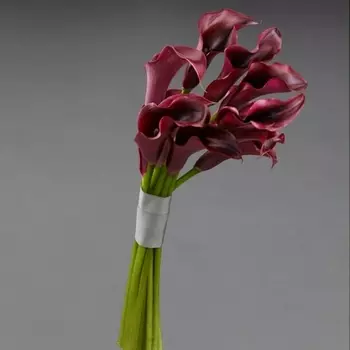 9 Бордовых Калл