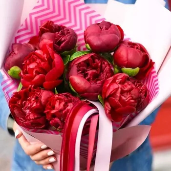 9 Бордовых Пионов