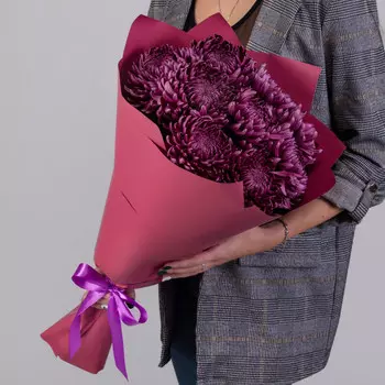 9 Фиолетовых Хризантем Бигуди