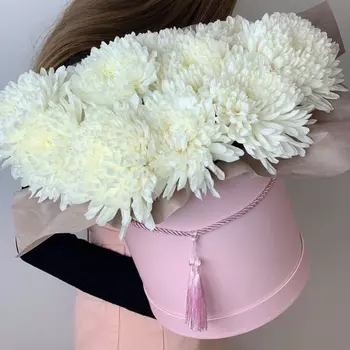 9 Хризантем Антонов в коробке