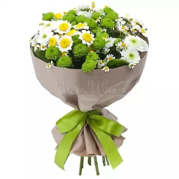 9 Хризантем Сантини