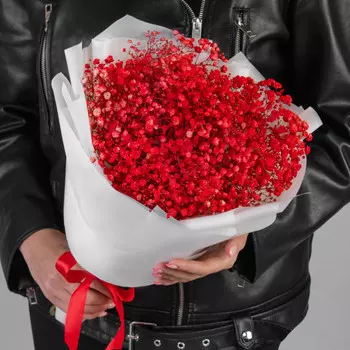 9 Красных Гипсофил