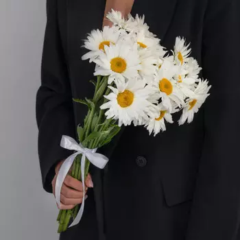 9 Крупных Ромашек