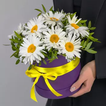 9 Крупных Ромашек в коробке