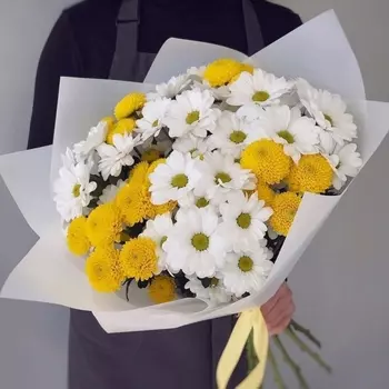 9 Бело-Желтых Кустовых Хризантем