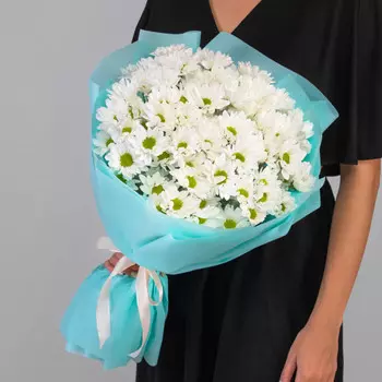 9 Кустовых Хризантем Ромашка Белых