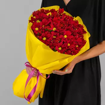 9 Кустовых Хризантем Ромашка Красных