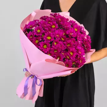 9 Кустовых Хризантем Ромашка Малиновых