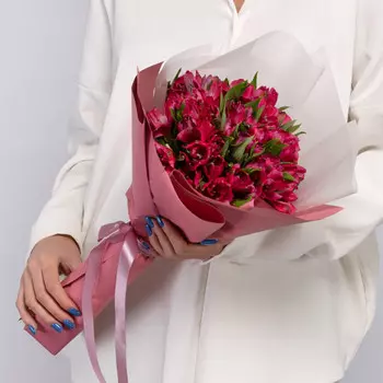 9 Малиновых Альстромерий