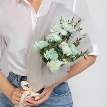 9 Мятных Гвоздик