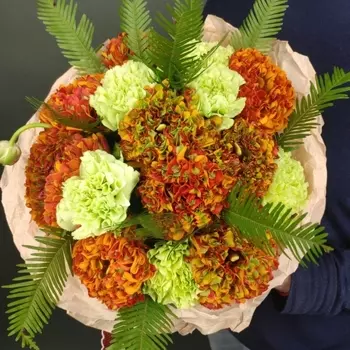 9 Оранжевых Махровых Ранункулюсов