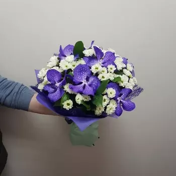 9 Орхидей Ванда И Сантини