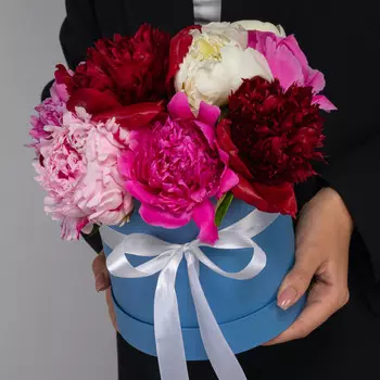 9 Пионов Микс в коробке