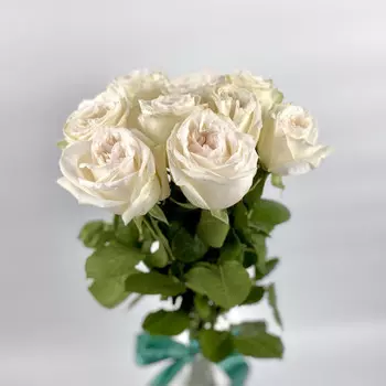 9 Пионовидных Роз Вайт Охара (50 см.)