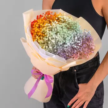 9 Радужных Гипсофил