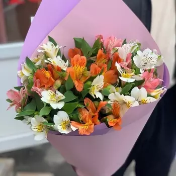 9 Альстромерий Микс