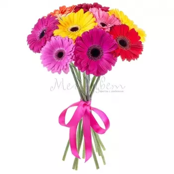 9 Гербер Микс