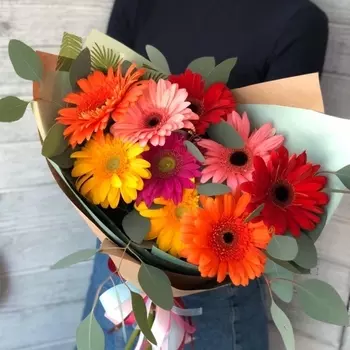 9 Гербер Микс с зеленью