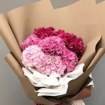 9 Разноцветных Гортензий