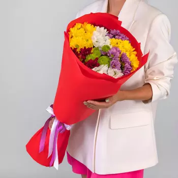 9 Кустовых Хризантем Ромашка Микс