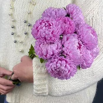 9 Розовых Пионовидных Астр