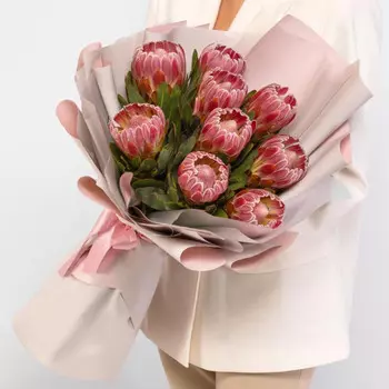 9 Розовых Протей