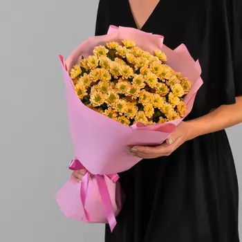 9 Коричневых Сантини Ромашка