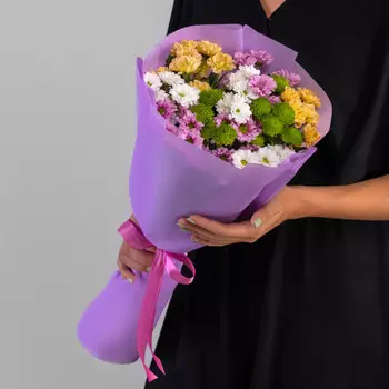 9 Сантини Микс