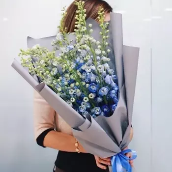 9 Синих Дельфиниумов