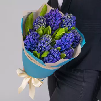 9 Синих Гиацинтов