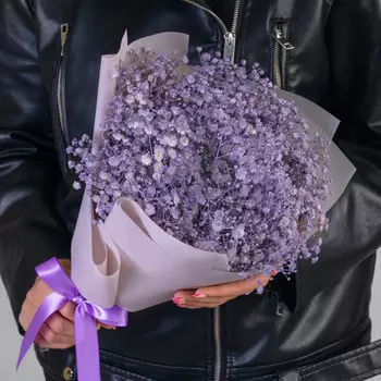 9 Сиреневых Гипсофил