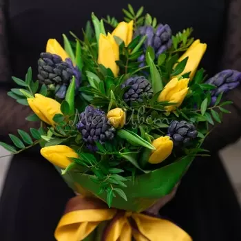 9 Тюльпанов И Гиацинтов