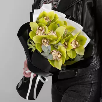 9 Зеленых Орхидей