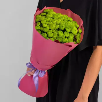 9 Зеленых Сантини