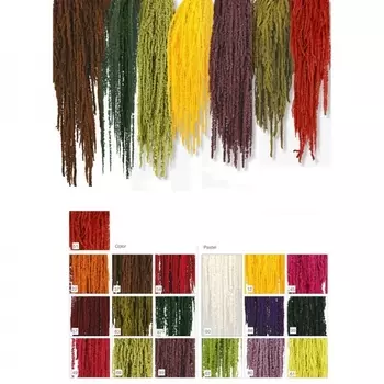 Амарантус cухоцвет