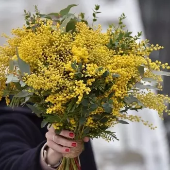 Букет Из 10 Мимоз