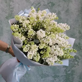 Букет Из 15 Веток Белой Сирени