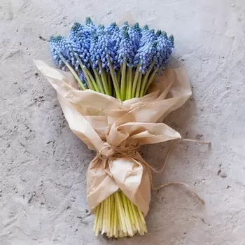 Букет Из 51 Мускари