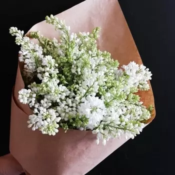 Букет Из 7 Веток Белой Сирени