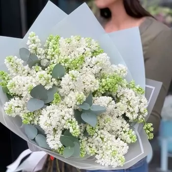 Букет Из Нежной Сирени