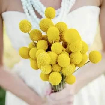 Букет Невесты Из Краспедии мини