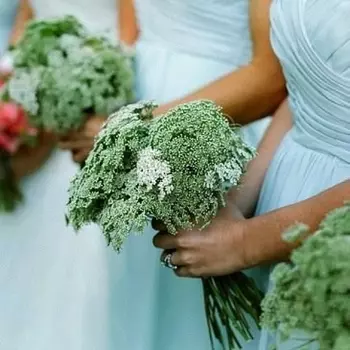 Букет невесты "25 Амми"