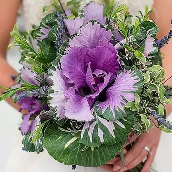 Букет Невесты С Брассикой