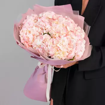 11 Розовых Гортензий